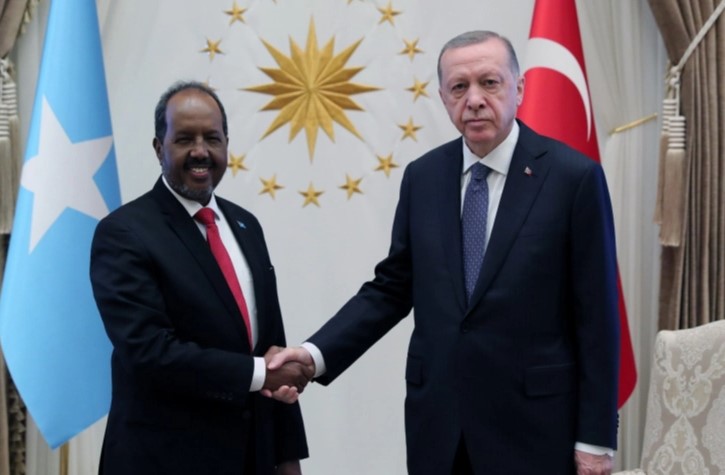 Cumhurbaşkanı Erdoğan, Somali Cumhurbaşkanı ile görüştü